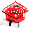 Graduation School Colors Balloons
