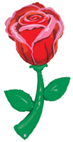 Fresh Picks Red Rose