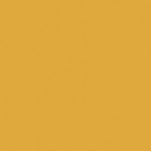 Tropical Orange Pull Bow 4 inch (7/8 inch ribbon)